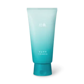 HANYUL Mentha Trouble Cleansing Foam 120g