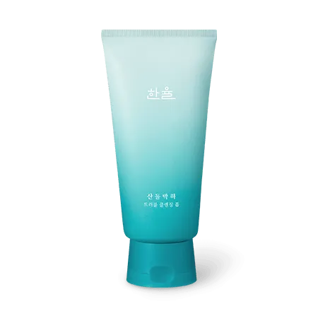 HANYUL Mentha Trouble Cleansing Foam 120g