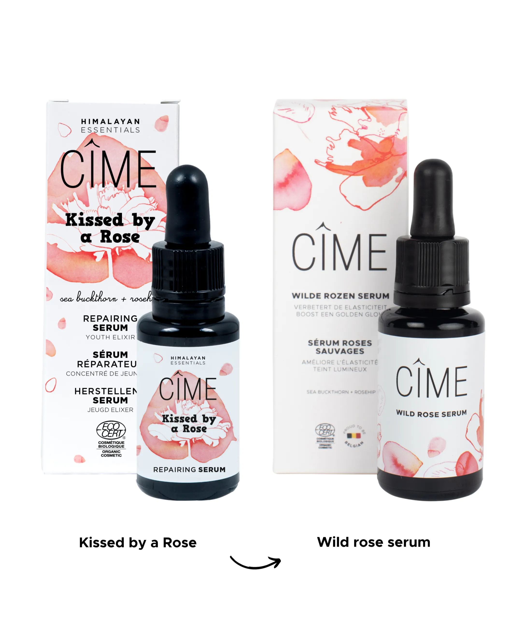 Wild rose serum